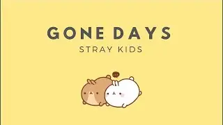 [1 HOUR LOOP] Gone Days— Stray Kids