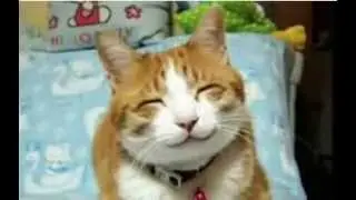 Самые смешные видео ролики в истории!!! Most funny video ever!