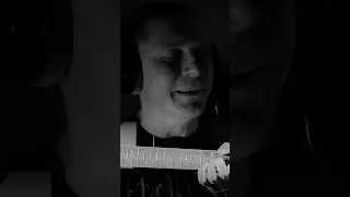 Eddie Vedder - Society | Художественный перевод - Константин Сапрыкин #shorts