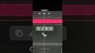 Customize this free sound pack for your animation!  