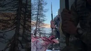 На что способна якутская Батыйа..