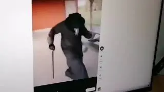 Чумной доктор идёт под гангста парадайз
