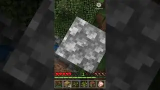 Minecraft But I Can't Say The Letter "D" #shorts