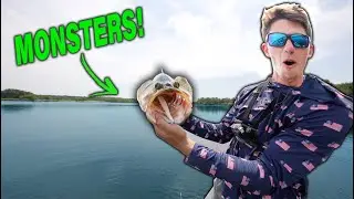 Most RIDICULOUS Day Of Summer Fishing I've EVER Had! (Jerkbait MADNESS)