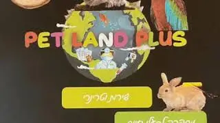 #pet_land_plus