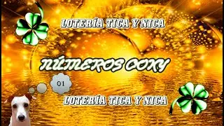 💲🍀NÚMEROS DE LA SUERTE🍀💲 PROBABLES PARA HOY 🚨23/03/2021🚨 LOTERÍA  💥💥💥TICA Y NICA💥💥💥
