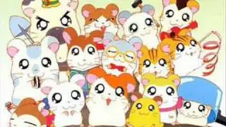 ♦♣♠♥ Hamtaro OP Latino CON LETRA♥♠♣♦