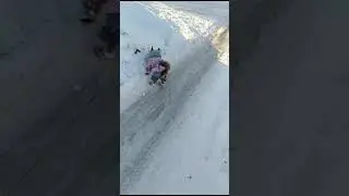 Собака  в новых тапках.Отличные тапки, собака не хромает. 5+++