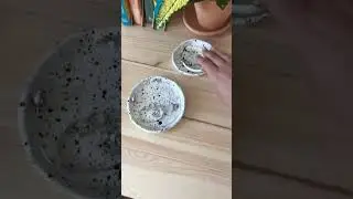 Блог о керамике, личном бренде, творчестве и вдохновении!