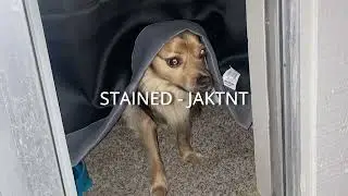 Stained - JAKTNT
