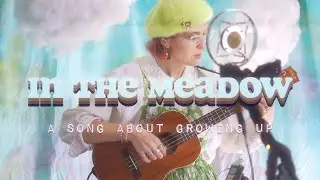 In The Meadow - LIVE LOOPING MUSIC VIDEO from the clouds BOSS RC 300