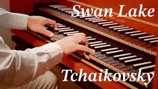 Swan Lake - Tchaikovsky