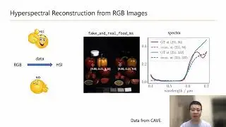 Limitations of Hyperspectral Imaging from RGB Images: A Data Perspective (ICCP2024 Poster 6)
