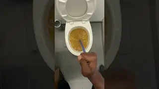 **"Master the Technique: How to Unblock a Toilet Like a Pro Plumber"**
