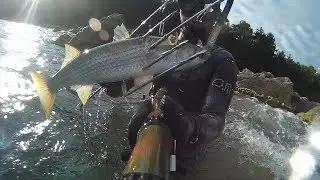 #ЛОБАН