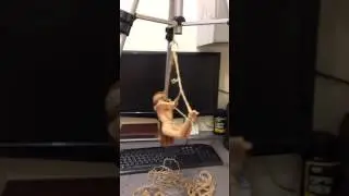подвеска для салонного зеркала моему другу