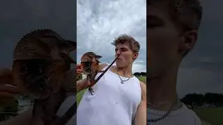 I GOT ATTACKED BY THIS LIZARD! 