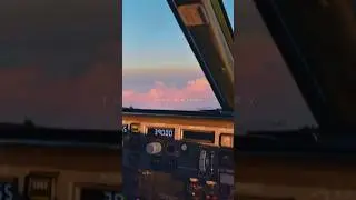 Pilots #aviation #ytshorts