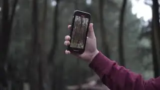 leaf transition effect in premiere pro