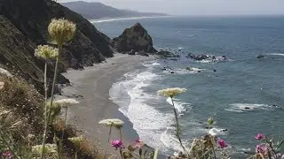 Oregon Coast and Redwoods Road Trip - Video Journal