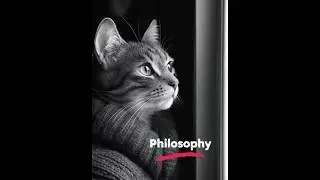 The Deep Thoughts of an AI-Generated Cat