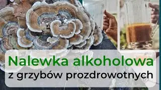Grzyby prozdrowotne - jak przyrządzić leczniczą nalewkę alkoholową