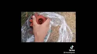 История