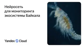 Нейросеть для мониторинга экосистемы Байкала