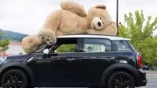 Top Weird Pics That Deserve Your Love And Undivided Attention