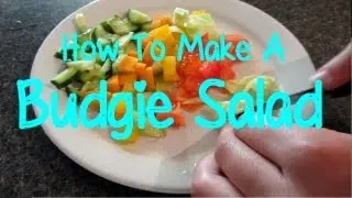 How To Make A Budgie Salad!