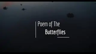 Milo Häfliger | Poem of The Butterflies [006]