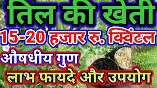 तिल की खेती।तिल के फायदे।औषधीय गुण।गर्मी में तिल की खेती।