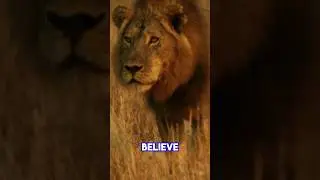 How Tiny Ants Tell The Mighty Lion What to Eat! 🐜 🦁