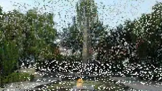 Бендеры