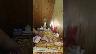 ВАШ МУЖЧИНА ХОЧЕТ ГОВОРИТЬ!! ЕГО ПРЯМАЯ РЕЧЬ!!!! НЕ ПРОПУСТИТЕ!!!! / PROTARO 1233