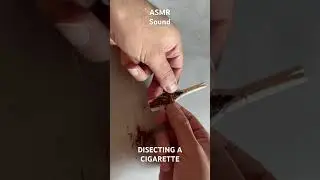 Dissecting A Cigarette