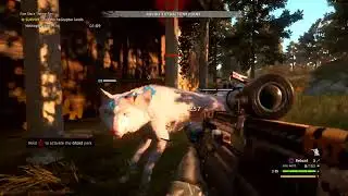 Far Cry New Dawn five star theme park expedition