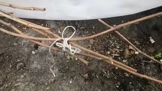 Снова о заморозках в Иркутской области.