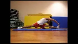 FLEXIBILITY: treinando flexionamento para espacate/splits