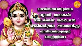 TUESDAY POPULAR PAZHANI MURUGAN DEVOTIONAL SONGS | Lord Murugan Padalgal | Lord Murugan Tamil Songs