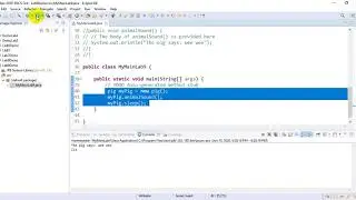 Abstract Classes and Interfaces in OOP with Java Lab9