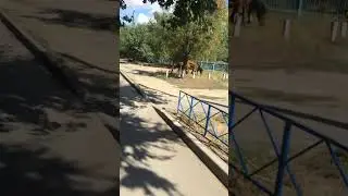22 сентября 2023 г.