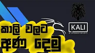 Top 10 Kali Linux Commands for Beginners  in 2023 | Hela LK