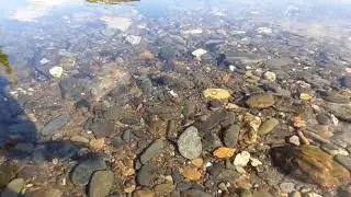 Рыболовный тур в тайгу