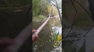 рибалка на фатку 