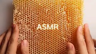 ASMR for People with ADHD