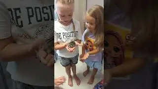 Милана Софа ! Хомяки !