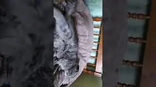 Андрюш ты что такой кислый сидишь 