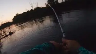 61 Seconds of Drag-Screaming Salmon!