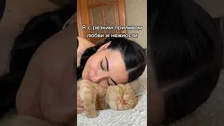 Просто скажите, что не я одна такая и вы тоже так делаете. #cat #рыжийкот #котик #котики #животные
